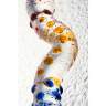 Sexus Glass Fantasy Dildo - Sexus Glass Fantasy Dildo